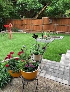 3306 Harbor Pointe Drive Rowlett, TX 75088 - Photo 36 of 40 Spring time grassy yard