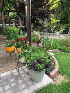 3306 Harbor Pointe Drive Rowlett, TX 75088 - Photo 37 of 40 Room for your blooming pots