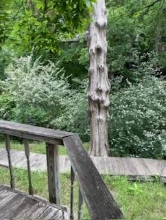 3306 Harbor Pointe Drive Rowlett, TX 75088 - Photo 38 of 40 Screen of woods provides privacy from neighbors
