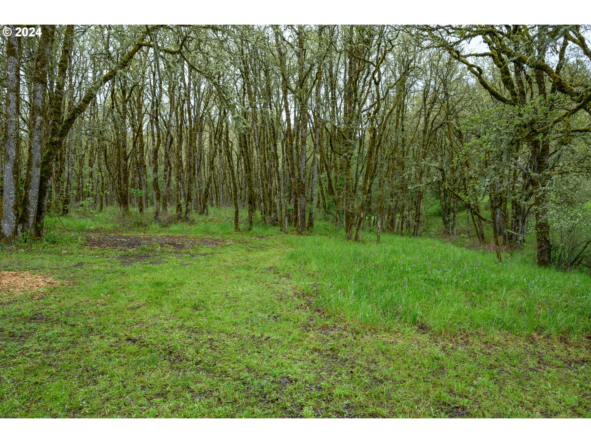 17555 Southwest Gopher Valley Road Sheridan, OR 97378 - Photo 39 of 48 Gallery Image 39