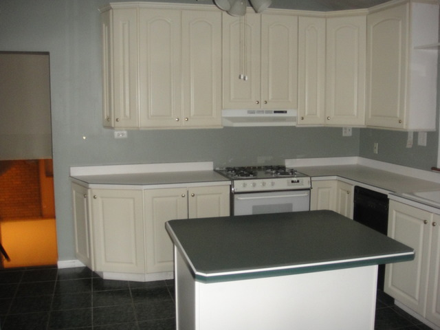 28W726 Wagner Road Naperville, IL 60564 - Photo 15 of 22 a kitchen with a sink cabinets and appliances