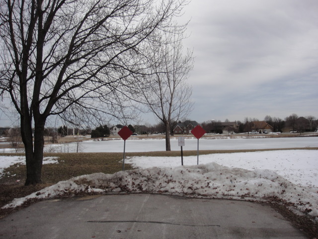 28W726 Wagner Road Naperville, IL 60564 - Photo 4 of 22 a view of white and tree with a yard