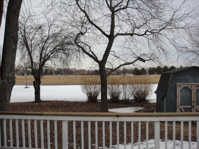 28W726 Wagner Road Naperville, IL 60564 - Photo 6 of 22 a view of backyard with wooden fence
