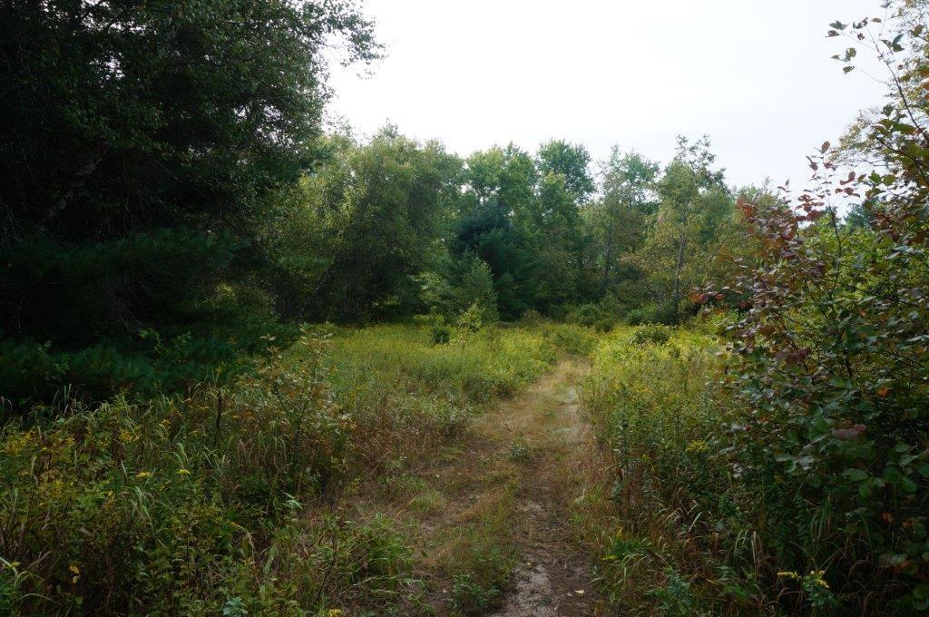 1350 Edes Falls Road Harrison, ME 04040 - Photo 33 of 35 Fields