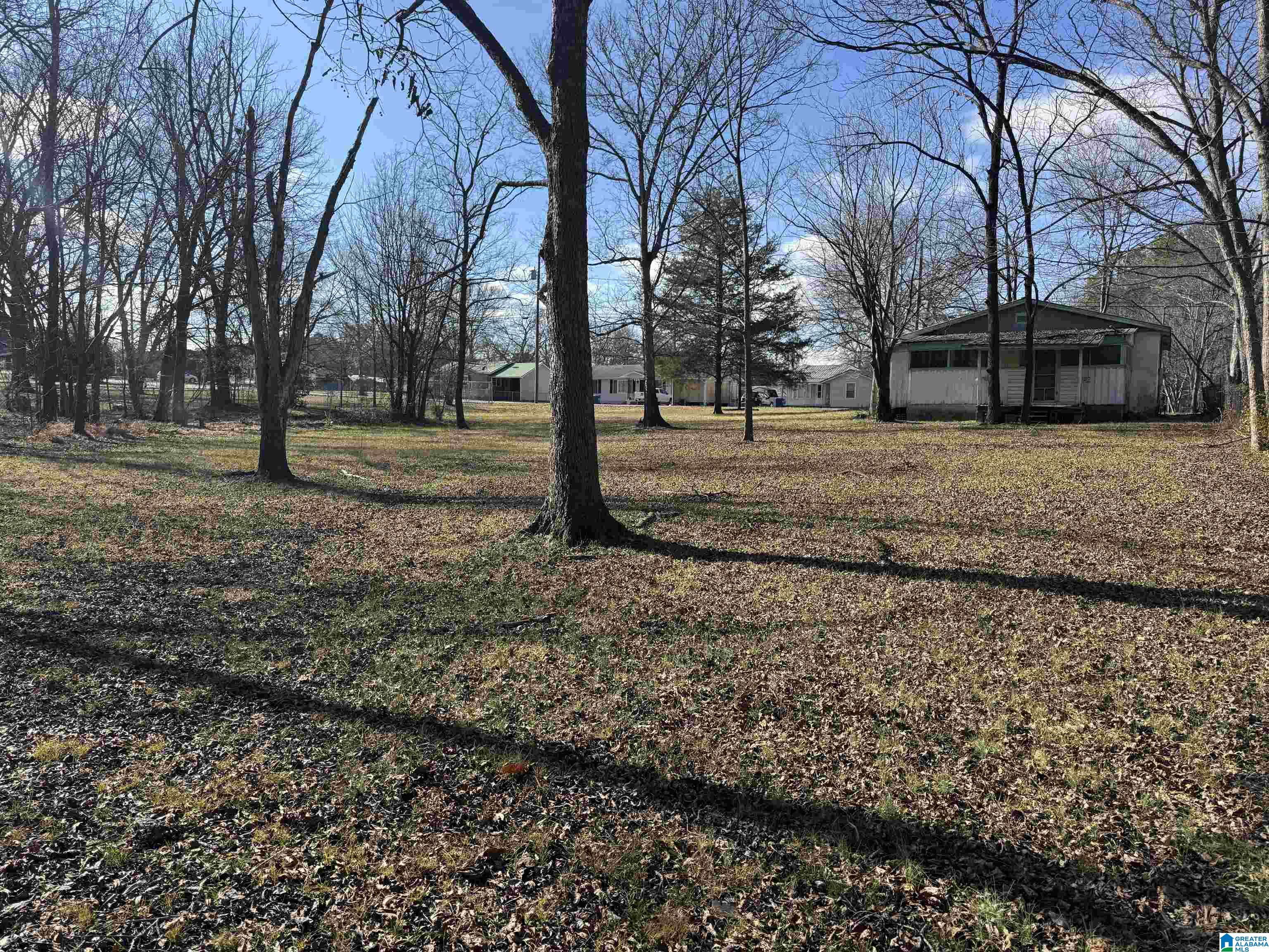 609 Rothrock Avenue Attalla, AL 35954 - Photo 9 of 10