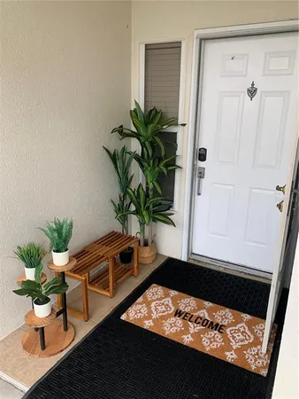 a view of a living room with a potted plant