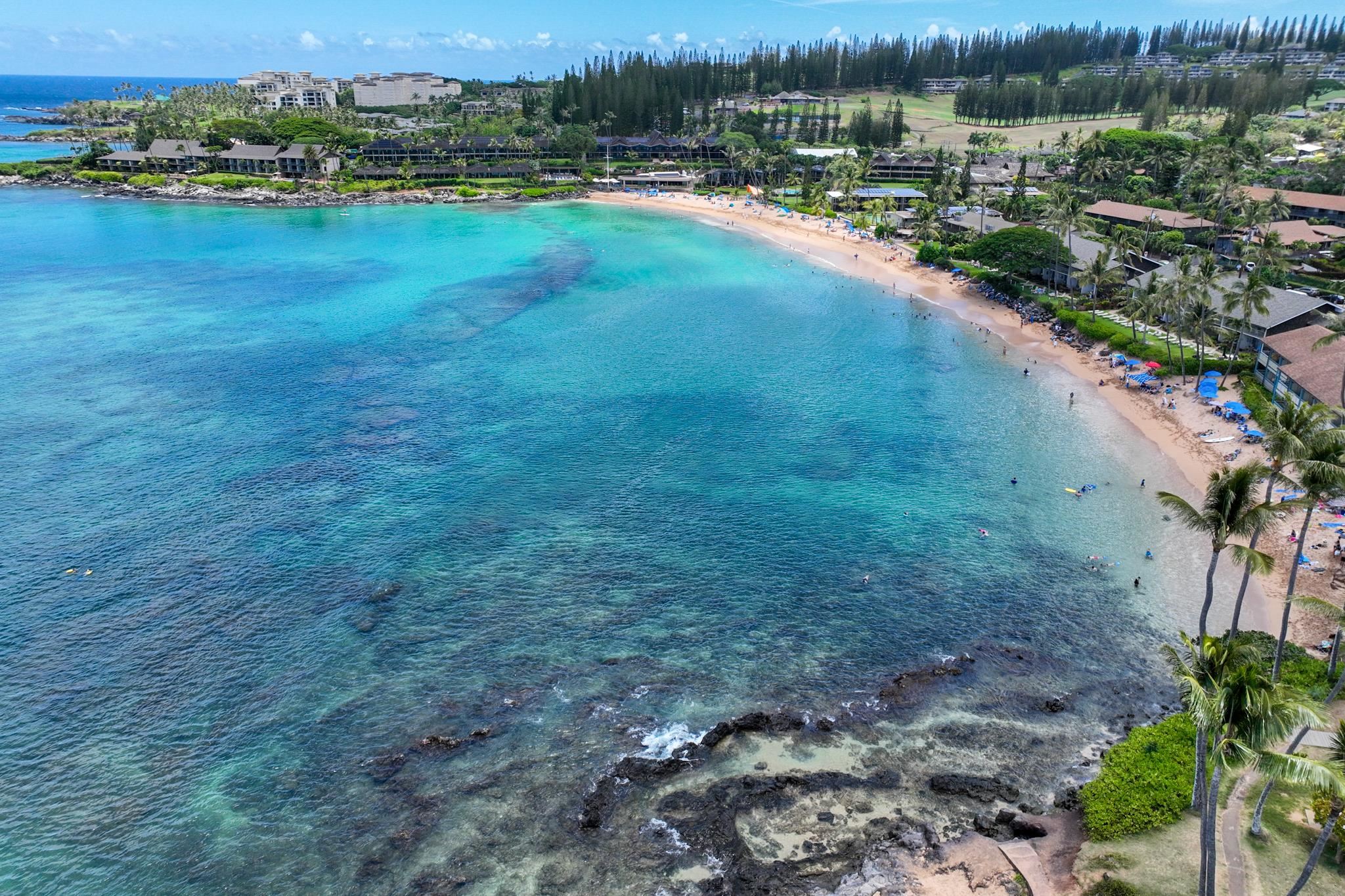 5315 Lower Honoapiilani Road, Unit D128 Lahaina, HI 96761 - Photo 1 of 24 a view of a lake with houses