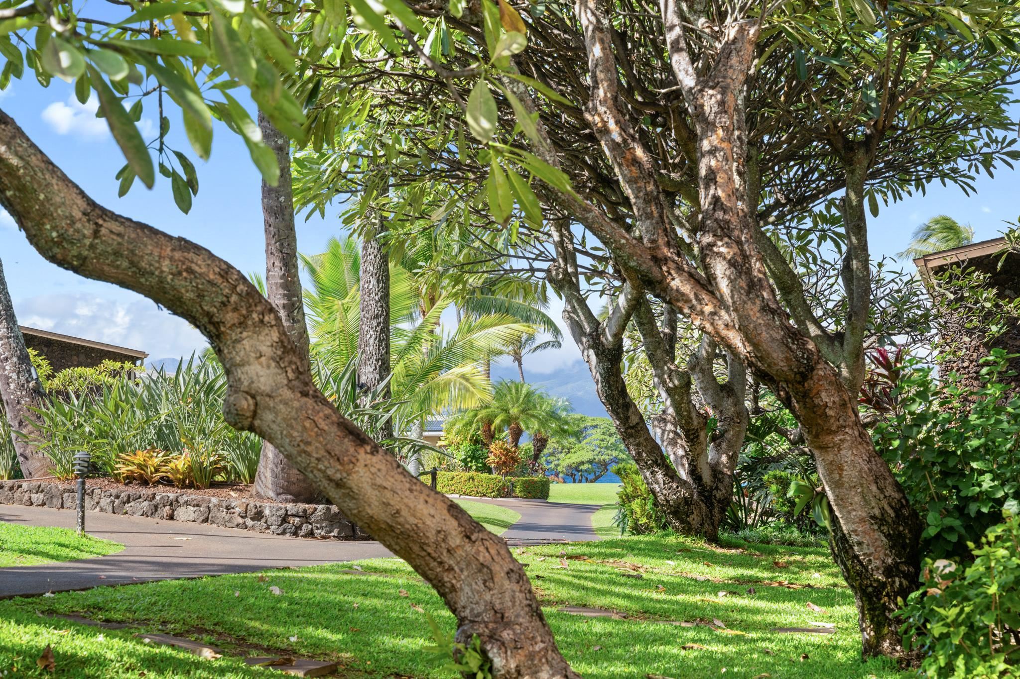 5315 Lower Honoapiilani Road, Unit D128 Lahaina, HI 96761 - Photo 12 of 24 a view of a yard with plants and trees