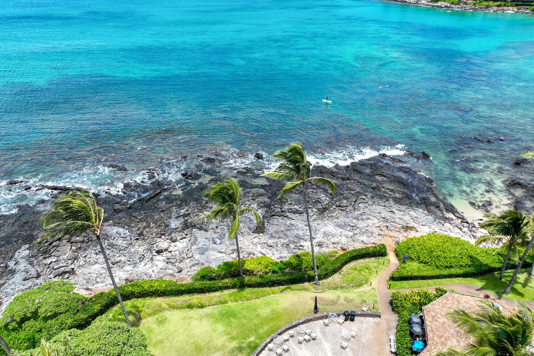 5315 Lower Honoapiilani Road, Unit D128 Lahaina, HI 96761 - Photo 22 of 24 a backyard of a house with lots of green space