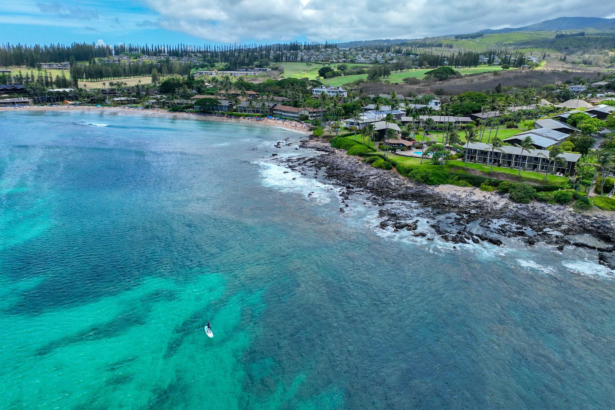 5315 Lower Honoapiilani Road, Unit D128 Lahaina, HI 96761 - Photo 24 of 24 a view of a dry yard with trees