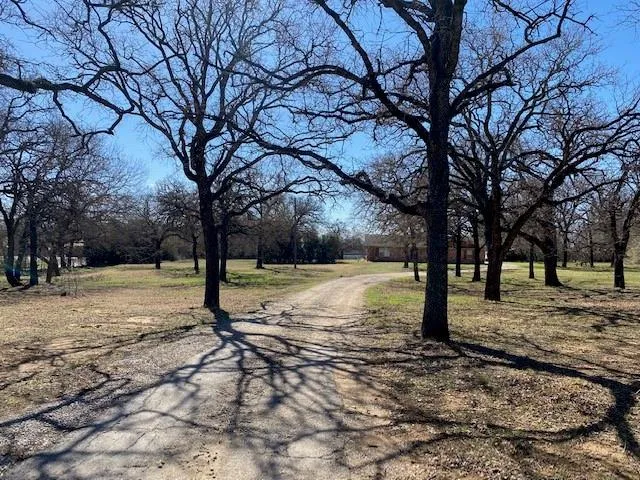 a view of a yard with a tree