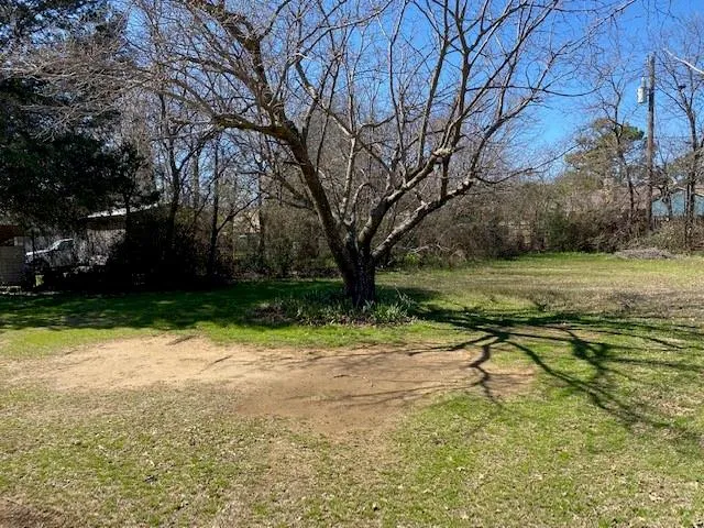 a view of backyard with green space