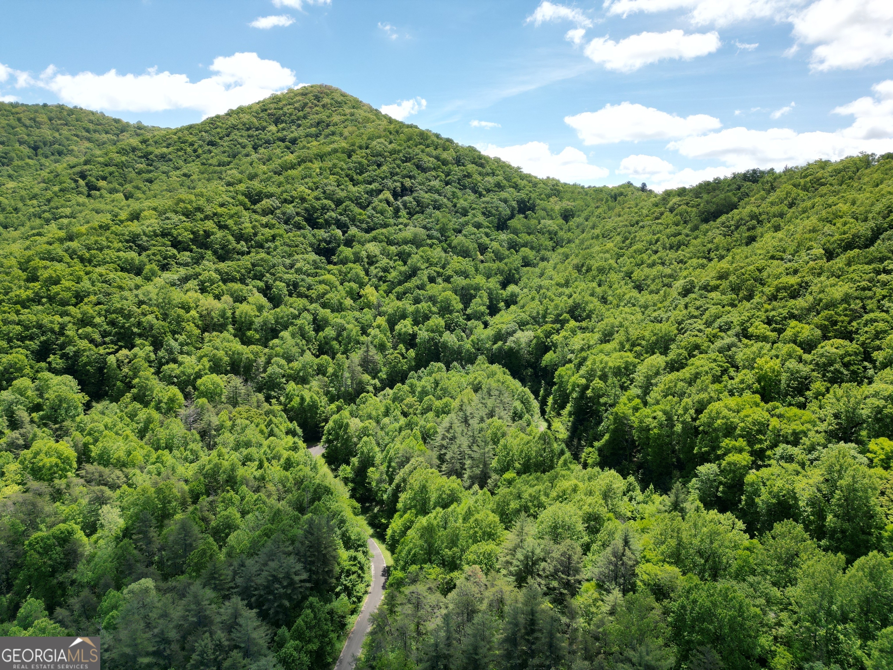 0 Shake Hollow Rabun Gap, GA 30568 - Photo 11 of 11