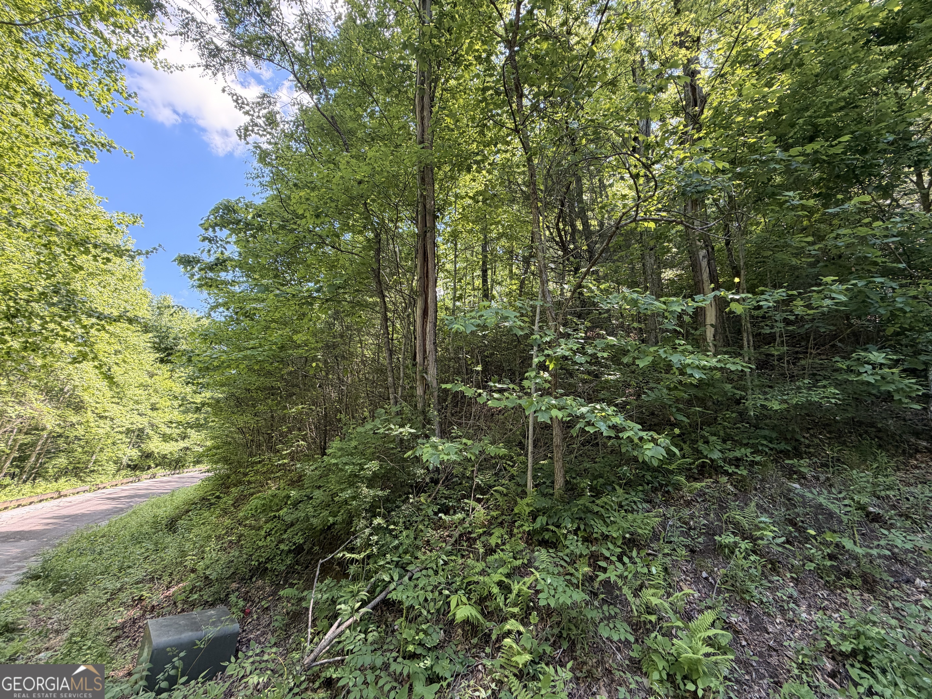 0 Shake Hollow Rabun Gap, GA 30568 - Photo 5 of 11