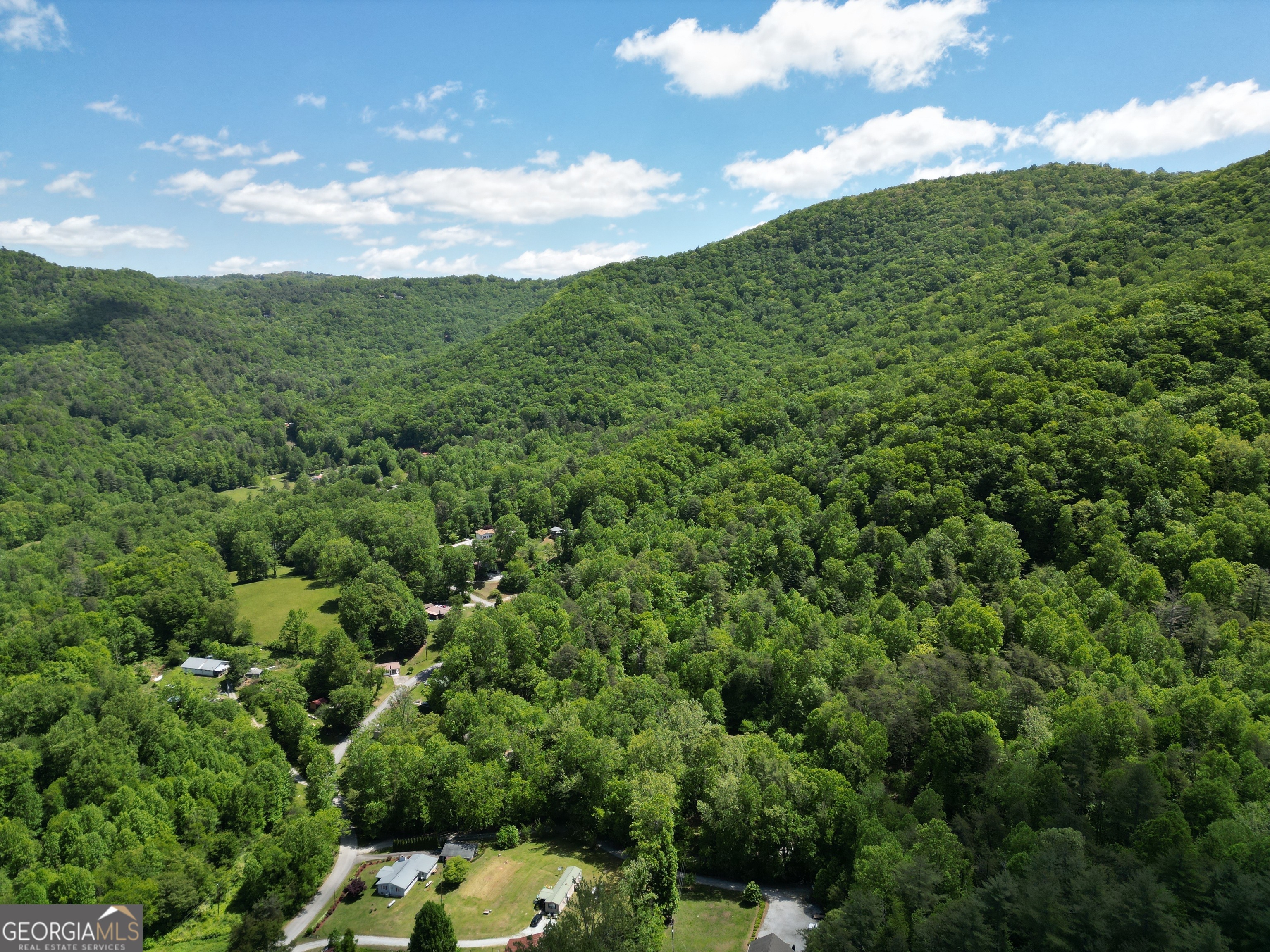 0 Shake Hollow Rabun Gap, GA 30568 - Photo 10 of 11
