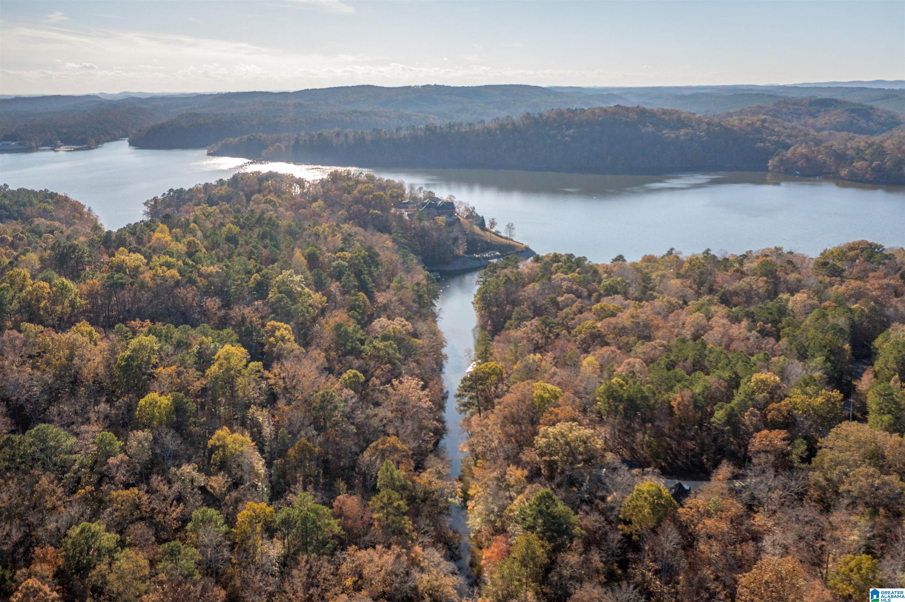 1595 Mohawk Cliff Road Ohatchee, AL 36271 - Photo 45 of 65