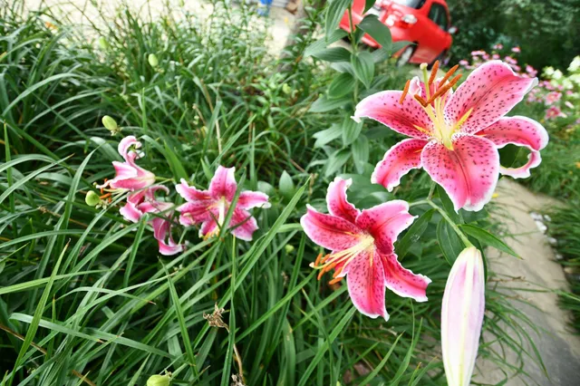 $729,000 | 87854 Highway 251, Austin, MN 55912