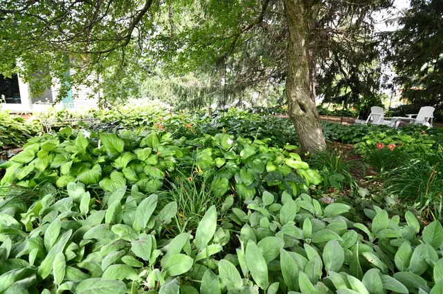 $729,000 | 87854 Highway 251, Austin, MN 55912