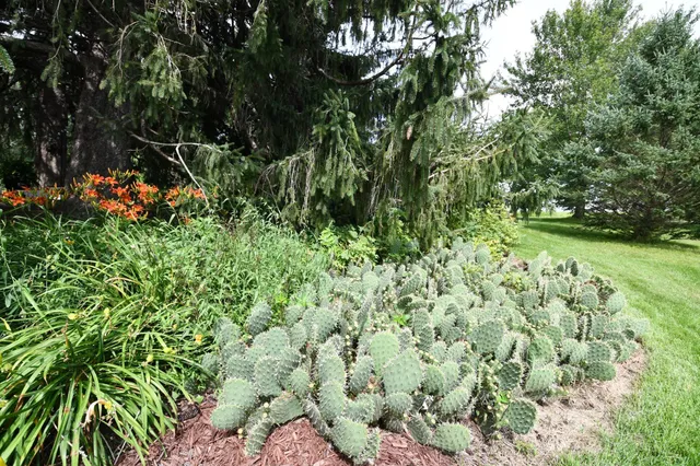 $729,000 | 87854 Highway 251, Austin, MN 55912