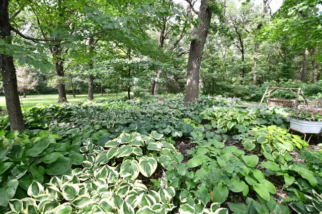 $729,000 | 87854 Highway 251, Austin, MN 55912