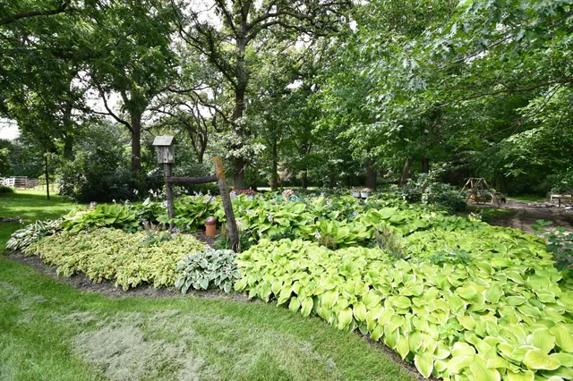 $729,000 | 87854 Highway 251, Austin, MN 55912