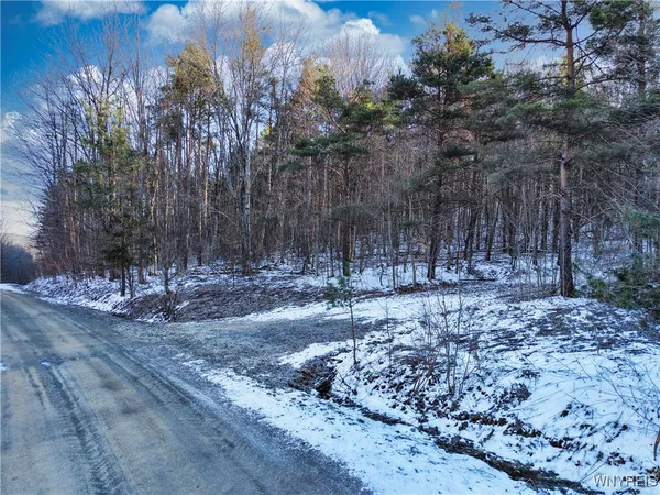 $117,500 | 10-11 Creek Ridge Road, Ellicottville, NY 14731