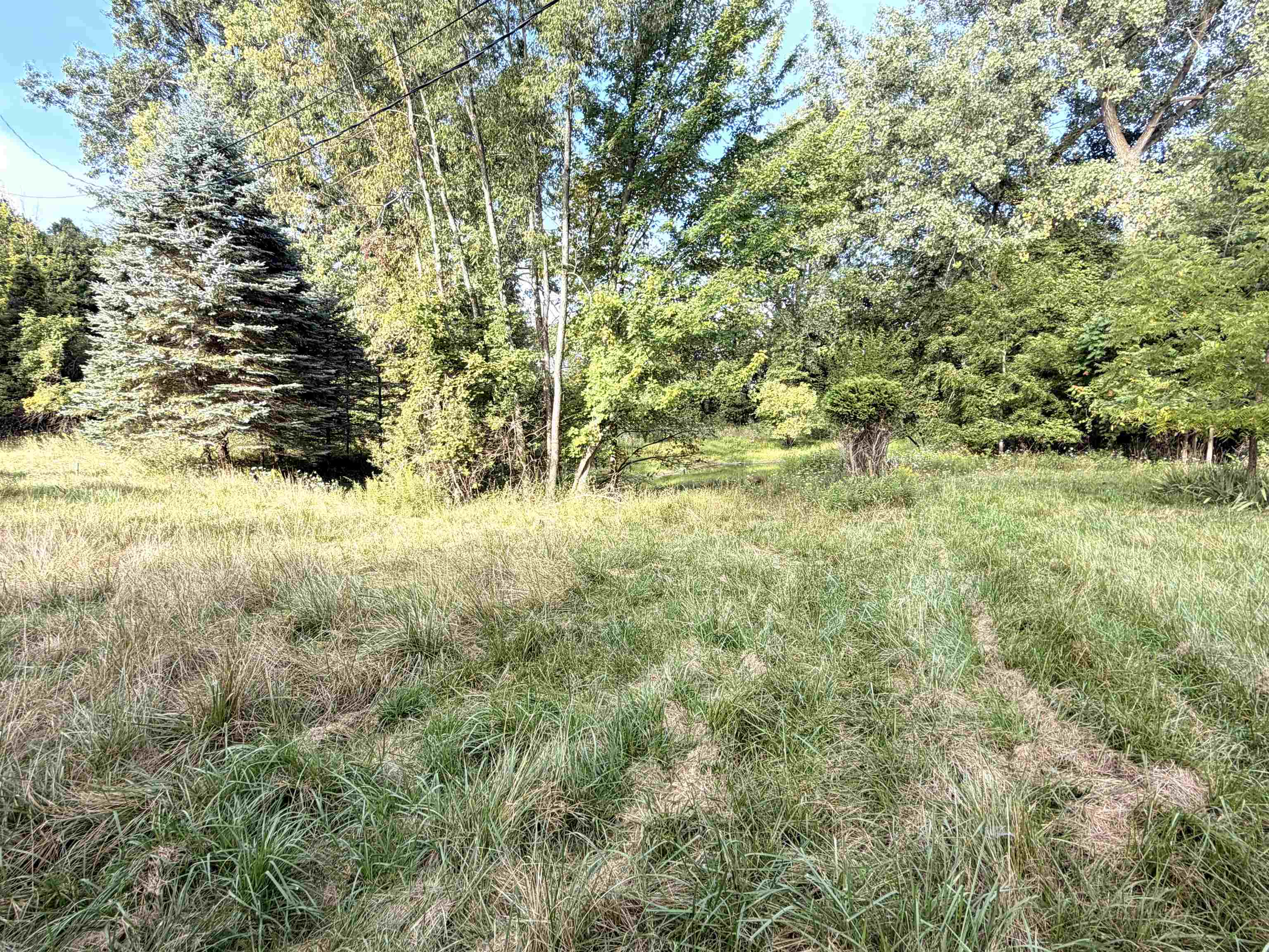 9526 West Monroe Road Elwell, MI 48832 - Photo 51 of 53 1949885-c6450fdd-29b4-4086-ae1e-91d5e104c566.JPG
