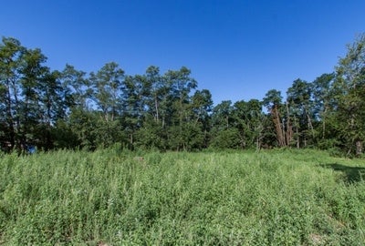 7 Acres On Park Road Iowa City, IA 52246 - Photo 28 of 30 Gallery Image 28