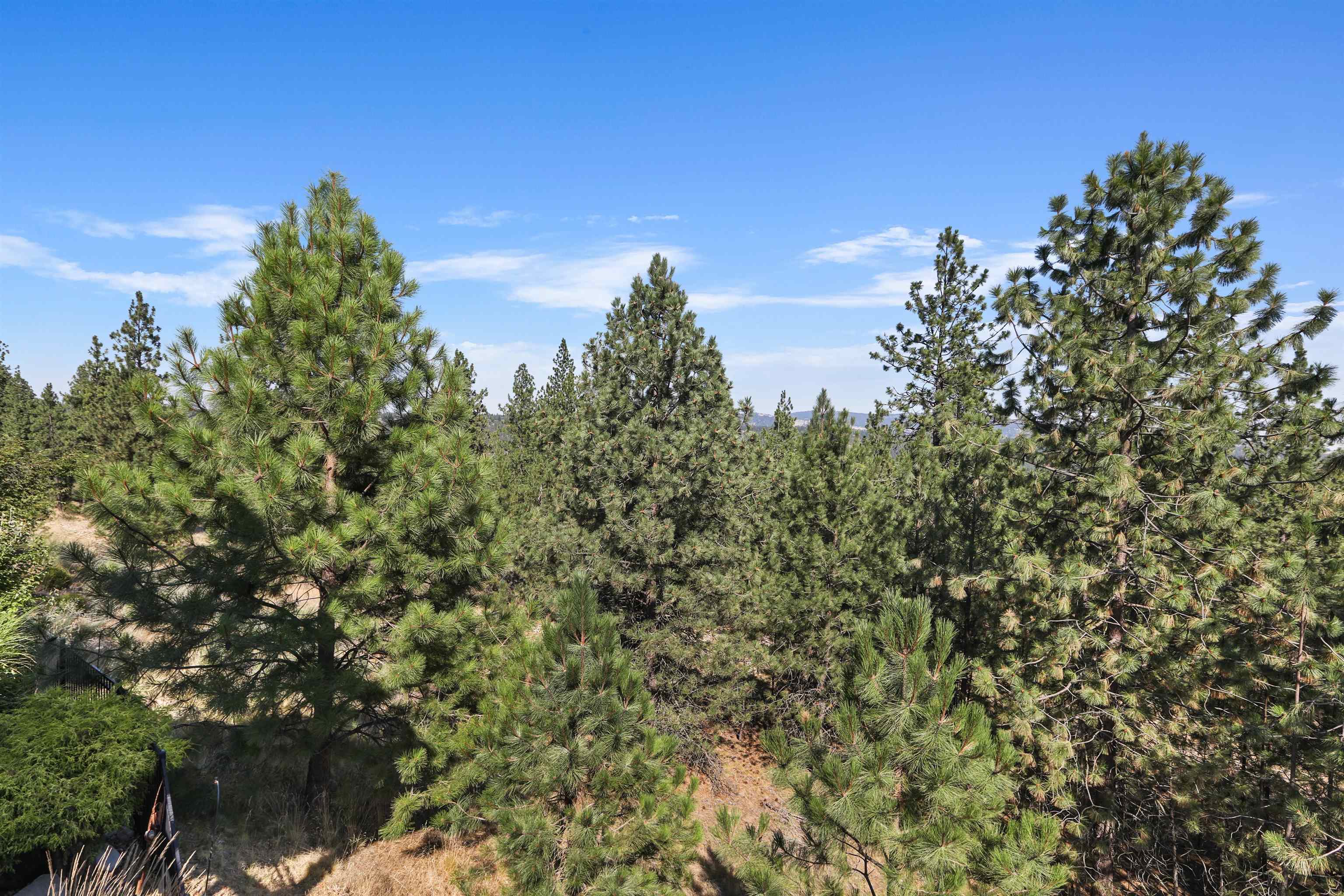 6115 South Windstar Street Spokane, WA 99224 - Photo 15 of 35