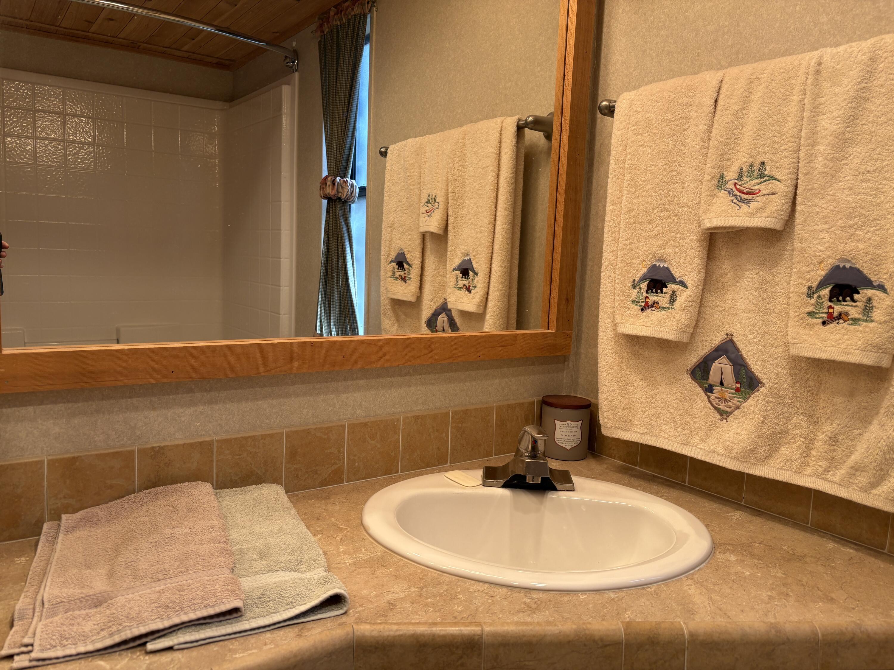 52901 Pine Cove Road, Unit 42 Idyllwild, CA 92549 - Photo 13 of 28 Bathroom