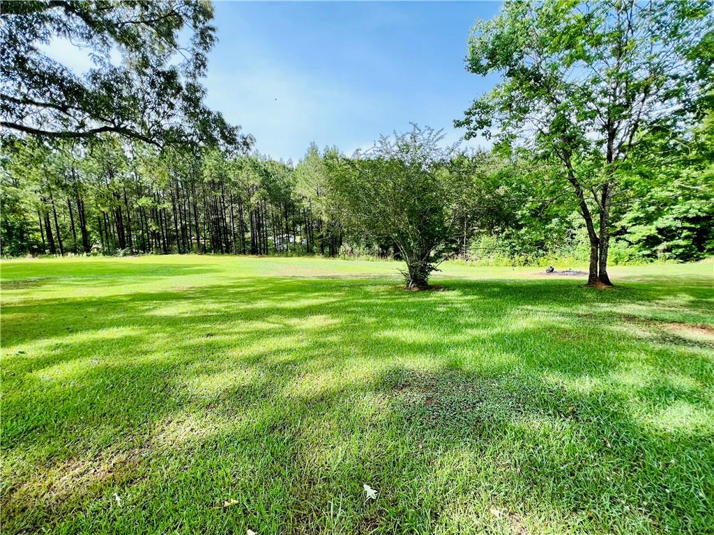 125 Ira Road Trout, LA 71371 - Photo 34 of 34 Gallery Image 34