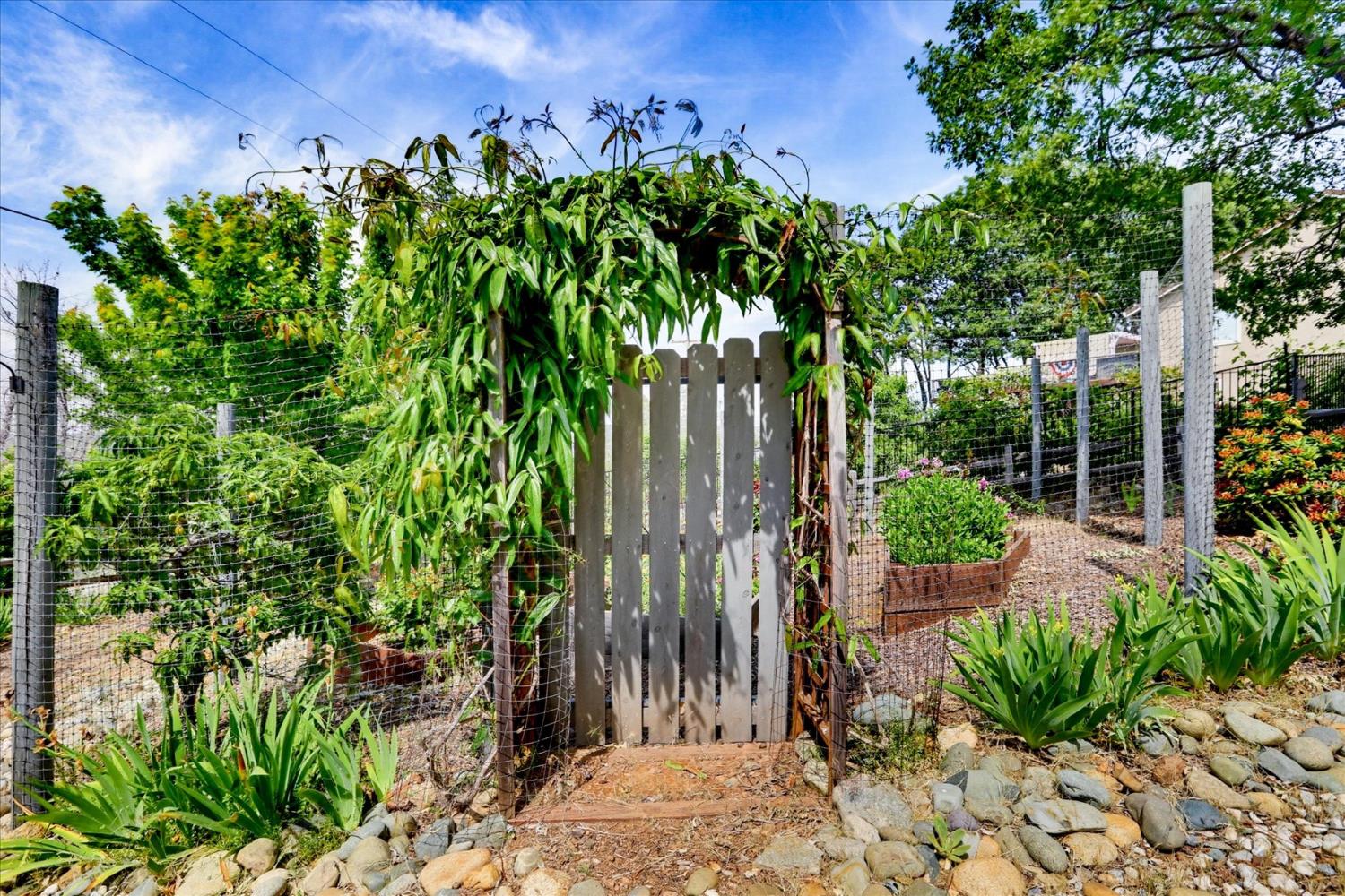970 Morgan Ranch Drive Grass Valley, CA 95945 - Photo 62 of 76 a backyard of a house with lots of green space