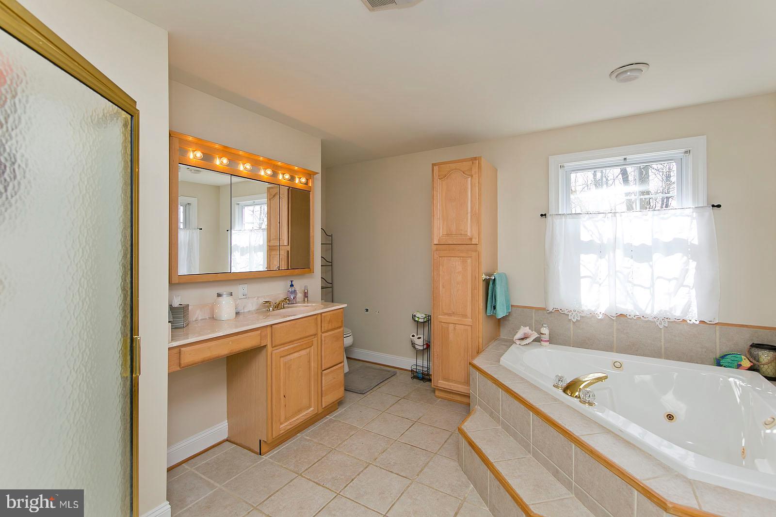 1080 Apple Pie Ridge Road Winchester, VA 22603 - Photo 26 of 52 Master Bath Dual vanity, seperate. tub and shouwer