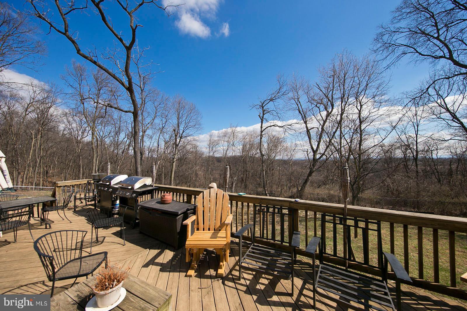 1080 Apple Pie Ridge Road Winchester, VA 22603 - Photo 45 of 52 large deck overlooking fenced backyard