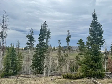 a view of a city with tall trees
