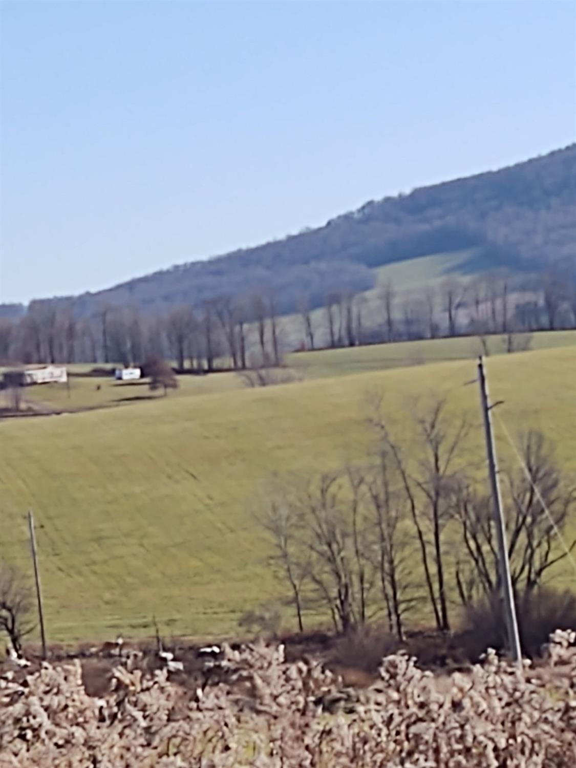 0 Road 96 Road Bloomville, NY 13739 - Photo 1 of 1 Gallery Image 1