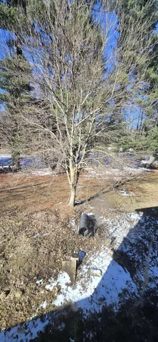 $199,000 | 06883 62nd Street, South Haven, MI 49090