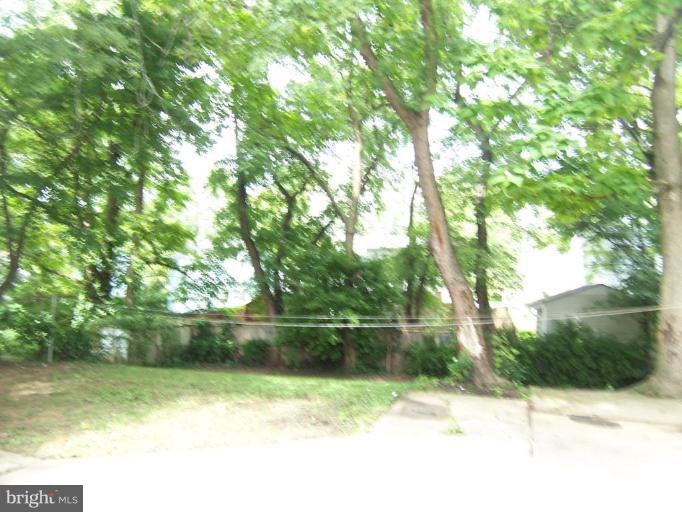 7212 Greeley Road Hyattsville, MD 20785 - Photo 3 of 13 View from Unit