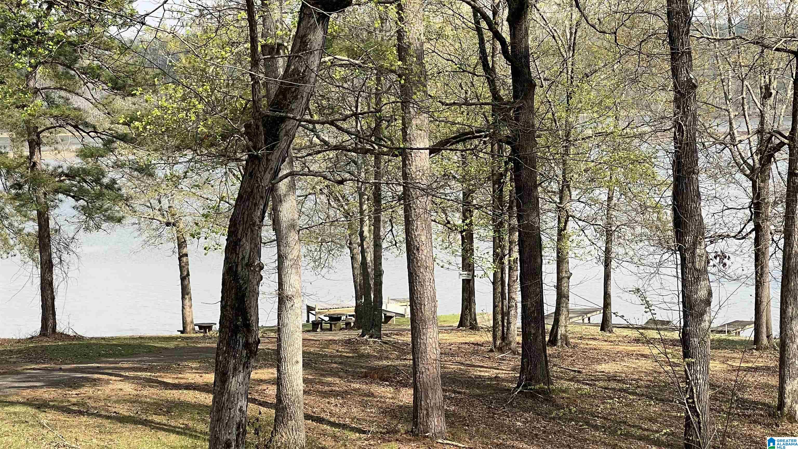 337 Tomahawk Trail Riverside, AL 35135 - Photo 61 of 68