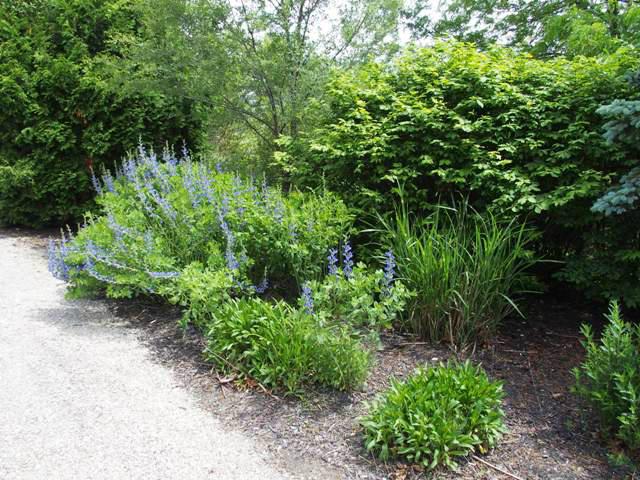 3603 Newhouse Road Ostrander, OH 43061 - Photo 30 of 39 Gallery Image 30