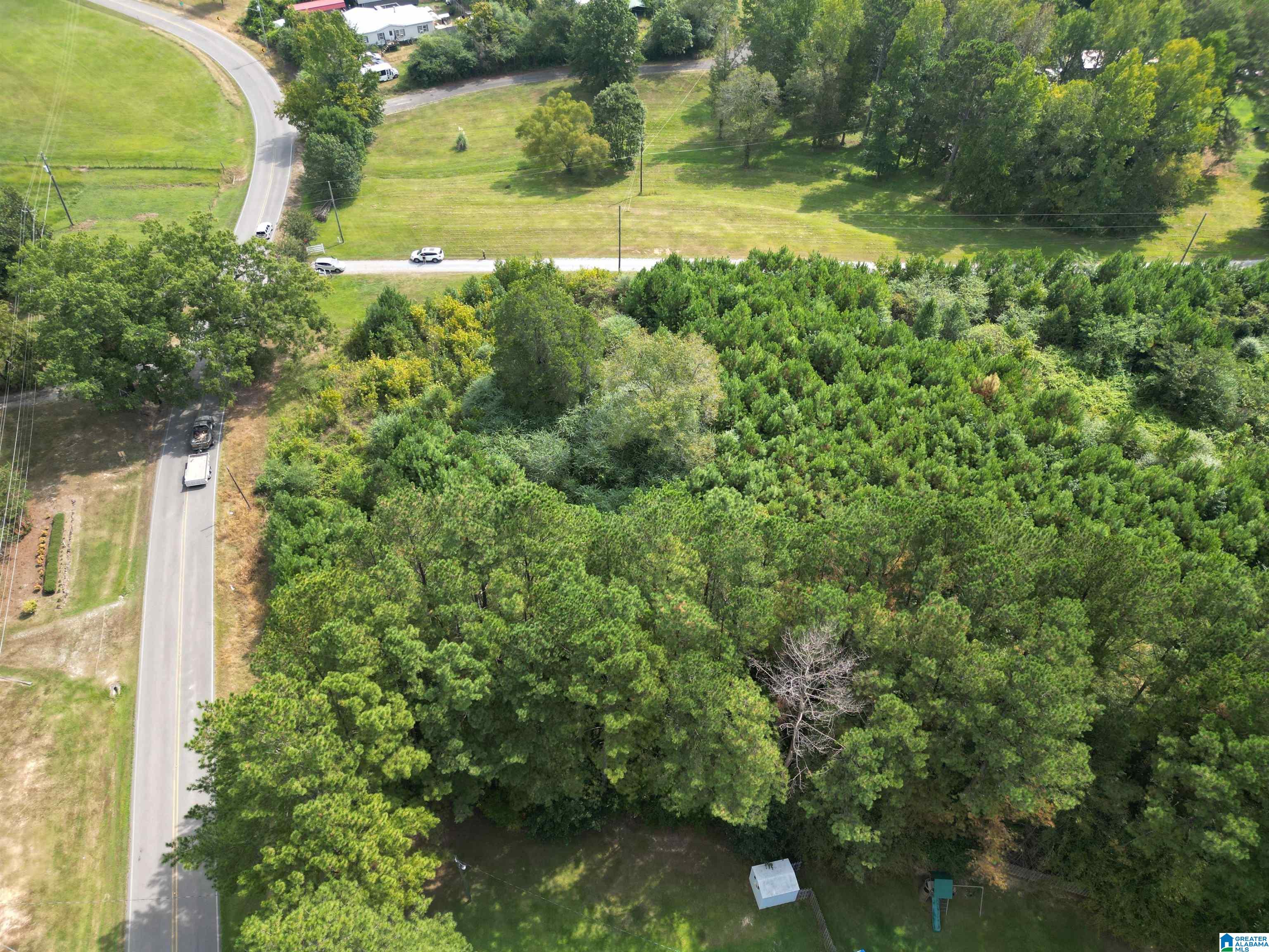 2941 County Line Drive, Unit 1 Trafford, AL 35172 - Photo 10 of 15