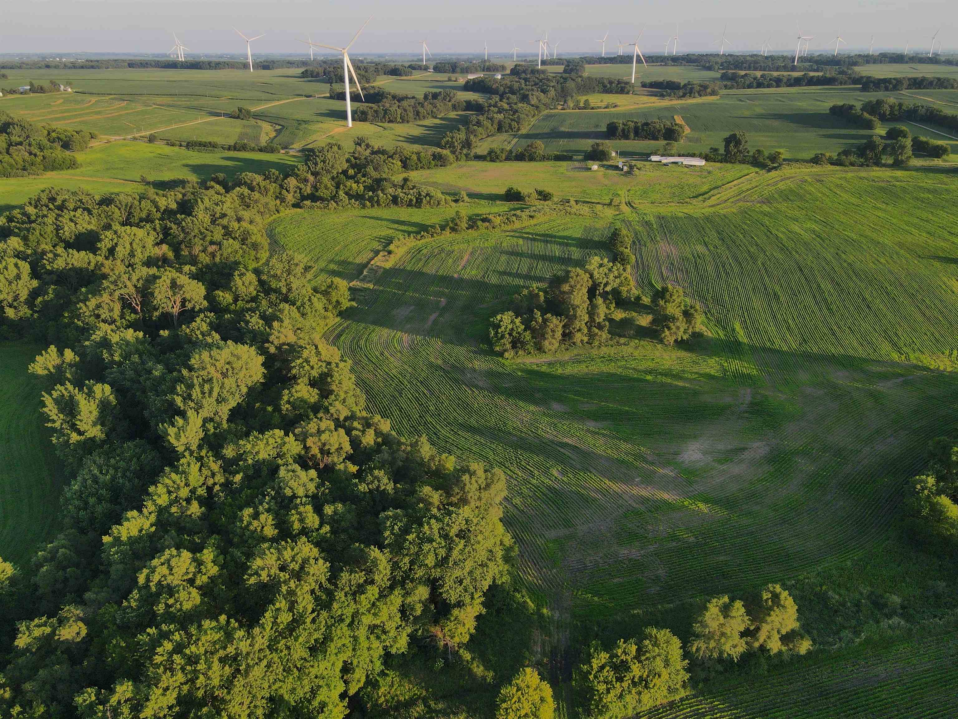0 Todd Road Amboy, IL 61310 - Photo 20 of 58