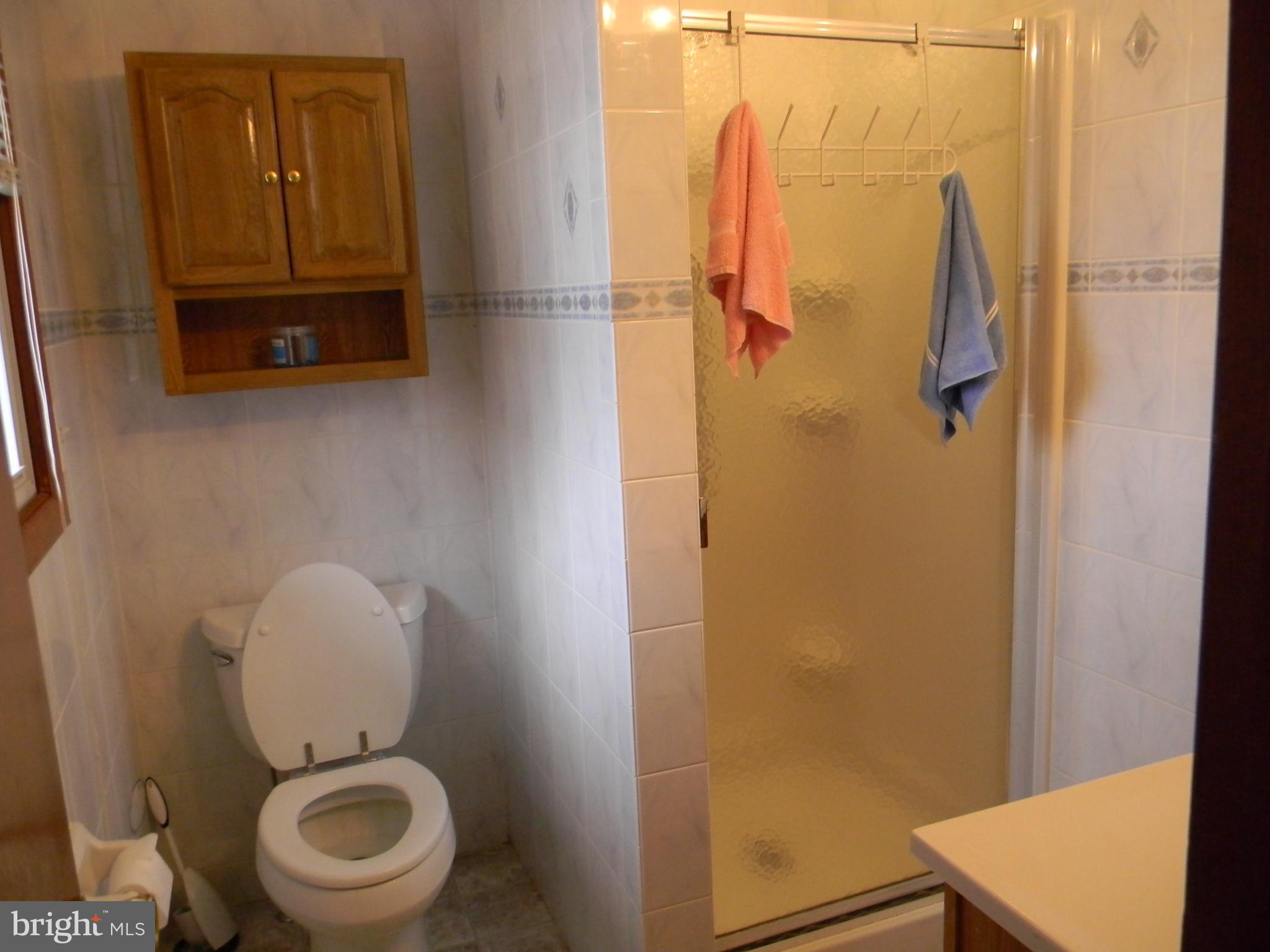 170 Carters Mill Road Elkton, MD 21921 - Photo 11 of 26 Master Bath with walk - in Shower