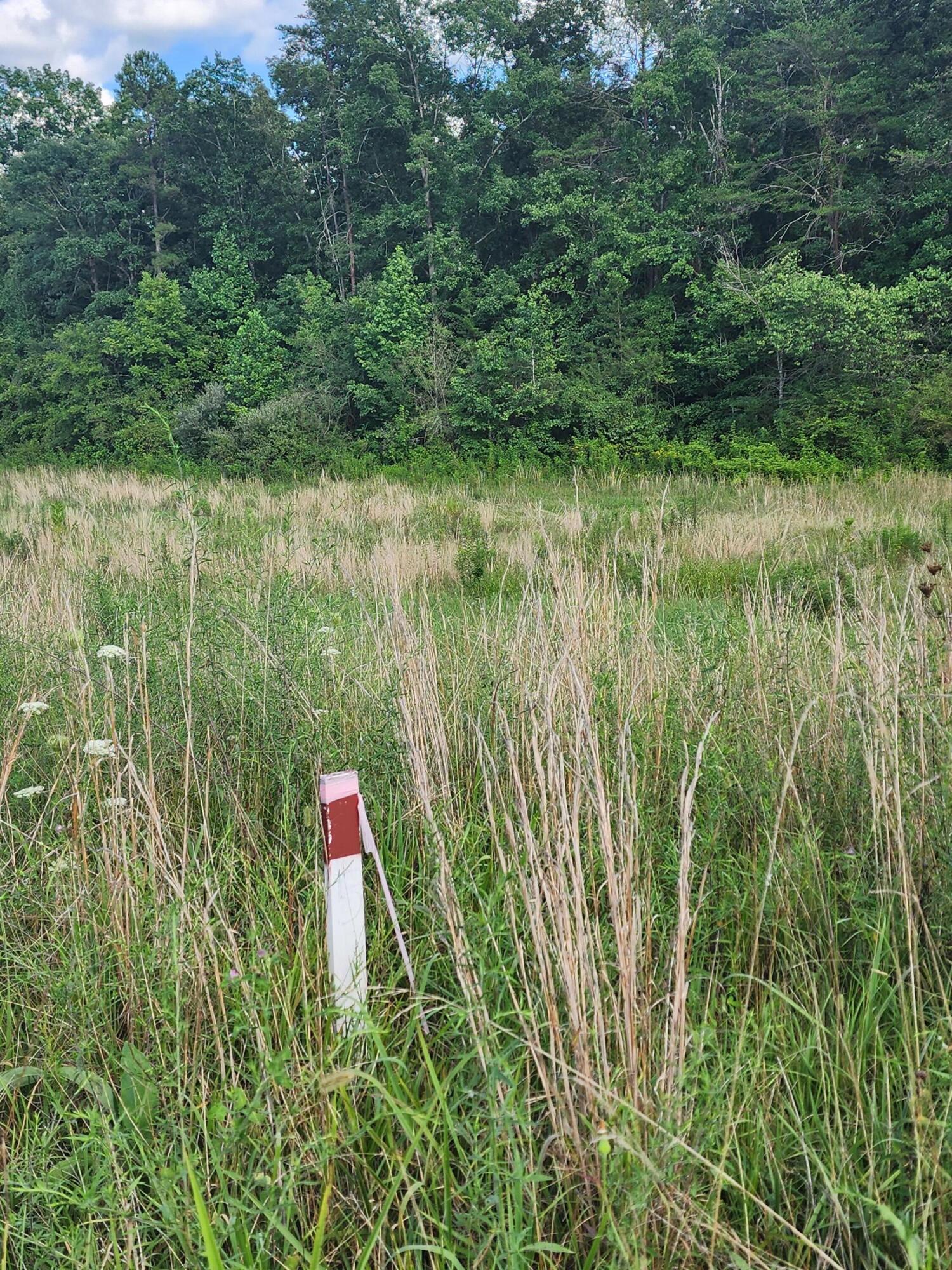 125 Shaddon Road, Unit 4 Tellico Plains, TN 37385 - Photo 17 of 17 survey marker