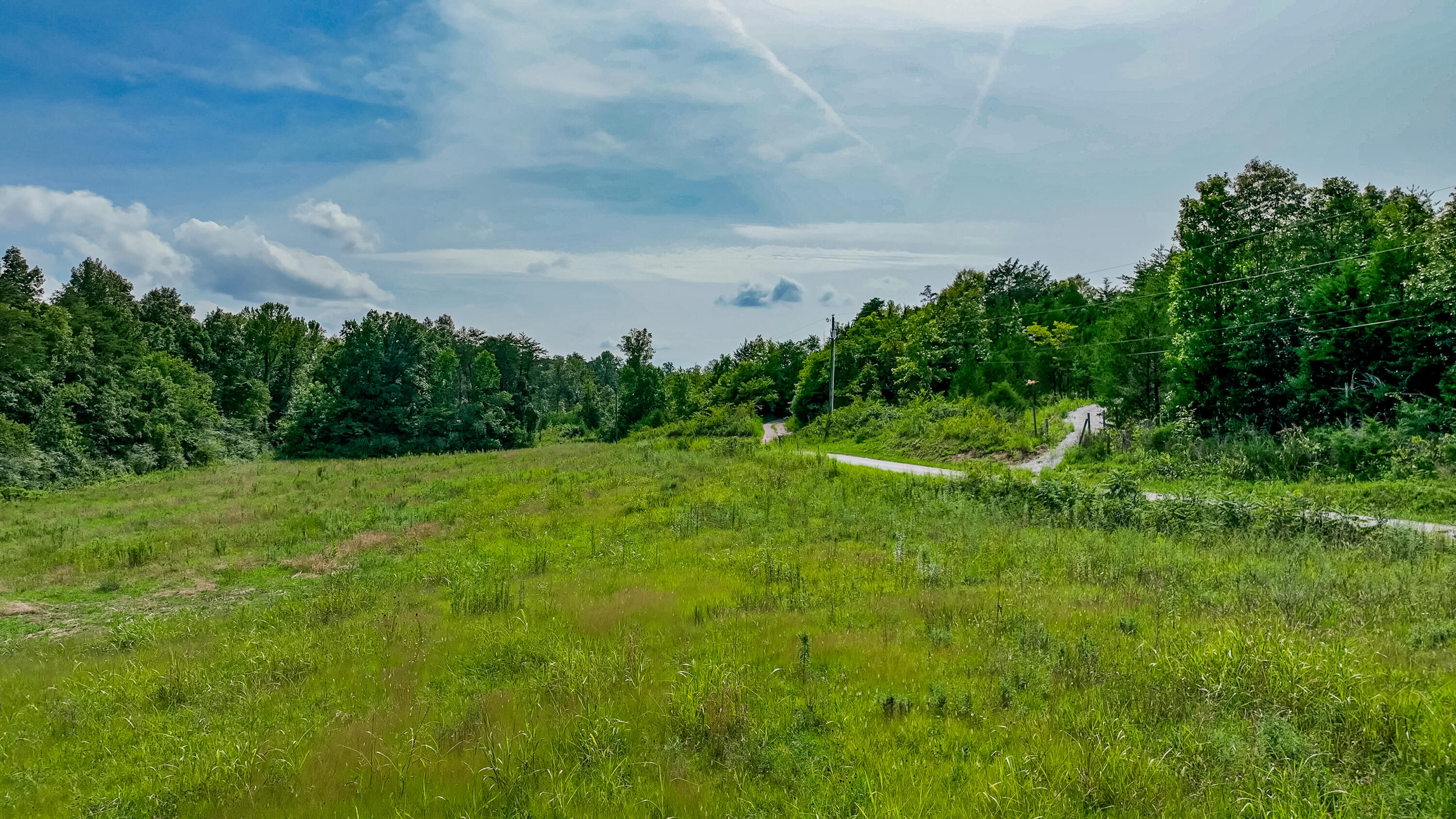 125 Shaddon Road, Unit 4 Tellico Plains, TN 37385 - Photo 5 of 17 Mature trees