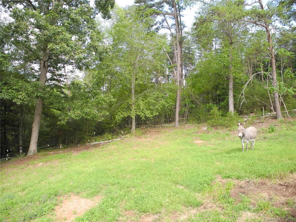 304 Wes Cook Road Casar, NC 28020 - Photo 23 of 24 Gallery Image 23