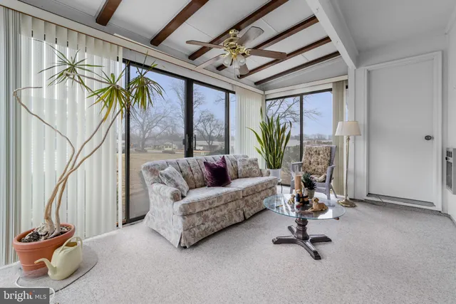 a view of a livingroom with furniture and a potted plant