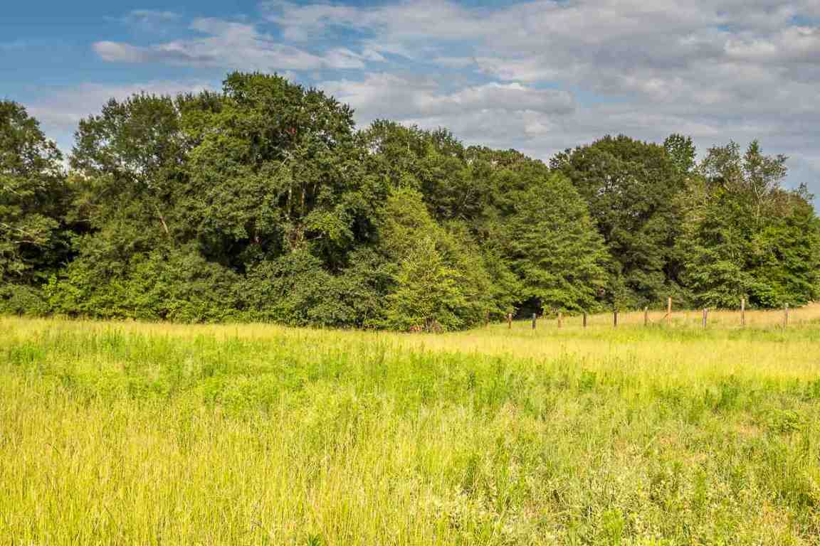151 Berry Road Pelzer, SC 29669 - Photo 11 of 17