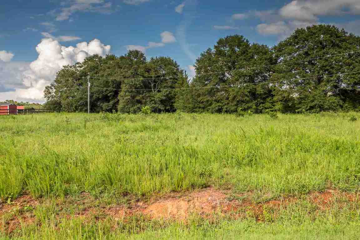 151 Berry Road Pelzer, SC 29669 - Photo 3 of 17