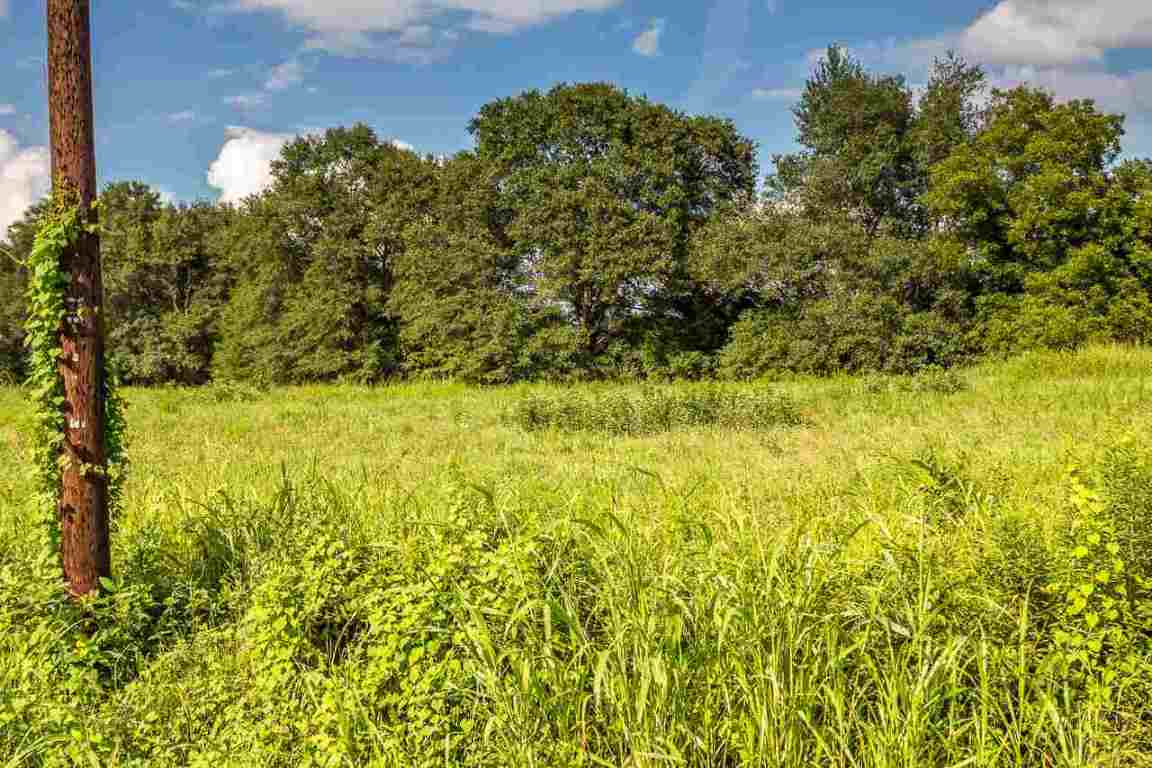 151 Berry Road Pelzer, SC 29669 - Photo 4 of 17